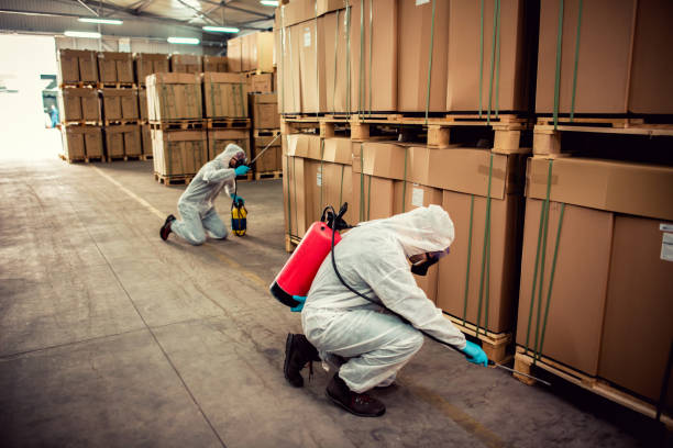 Best Pest Removal Services  in Titusville, FL