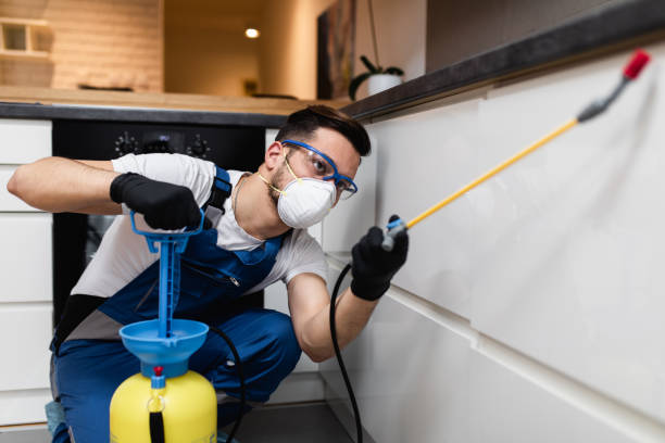 Best Best Pest Control Companies  in Titusville, FL