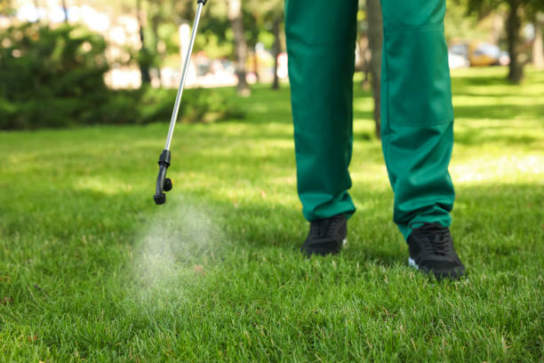 Best Pest Inspection Near Me  in Titusville, FL