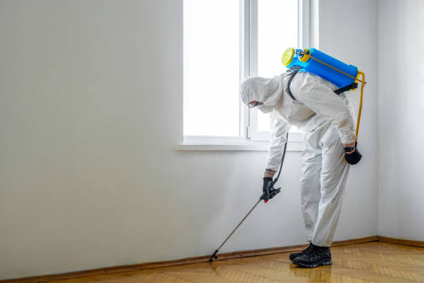 Best Exterminator Services  in Titusville, FL