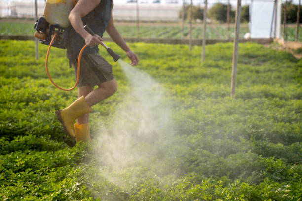 Pest Control for Restaurants in Titusville, FL