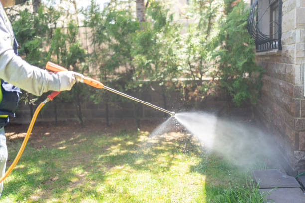 Best Pest Control Treatment  in Titusville, FL