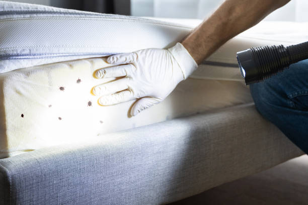 Trusted Titusville, FL Pest Control Experts