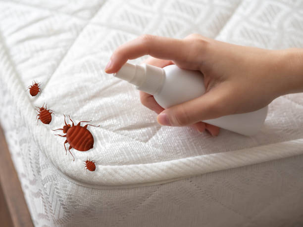 Best Flea Control Services  in Titusville, FL