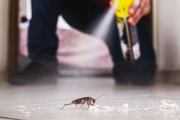 Best Pest Control Near Me in Titusville, FL