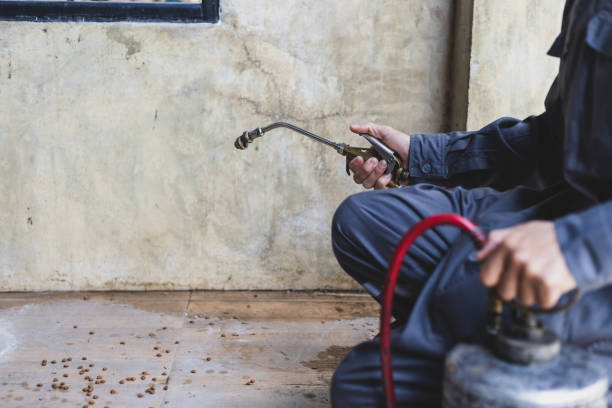 Pest Control Cost in Titusville, FL